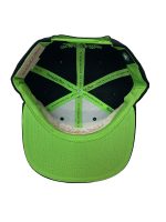 BOSTON CELTICS GREEN POP HOOK SNAPBACK